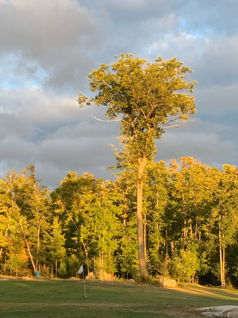 Ozzy's golf range is located in Bala, Muskoka, Ontario. We're open in season for golfers of all ages and skill levels to practice their skill levels.
